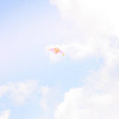 我在江湖之陈芊芊传记游戏下载
